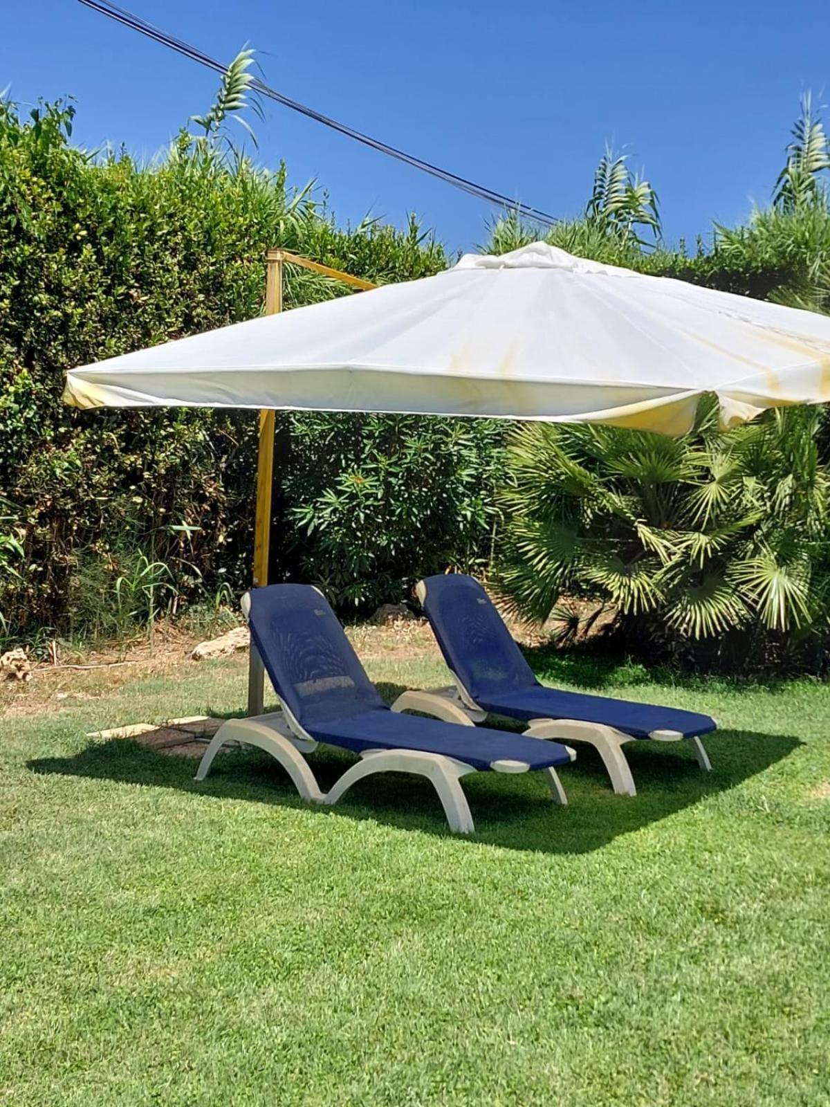 Modular King Suite - Intera Suite Vicino Aeroporto E Fiera Di Roma Fiumicino Dış mekan fotoğraf